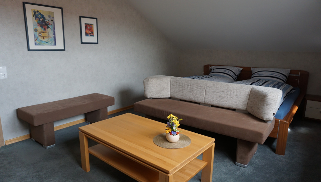 Schlaf- und Wohnzimmer mit Doppelbett
